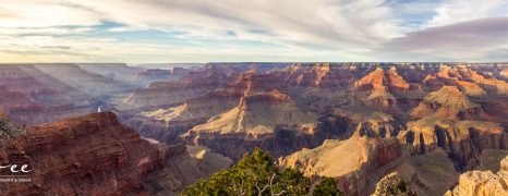 Day Trip from Las Vegas to Grand Canyon