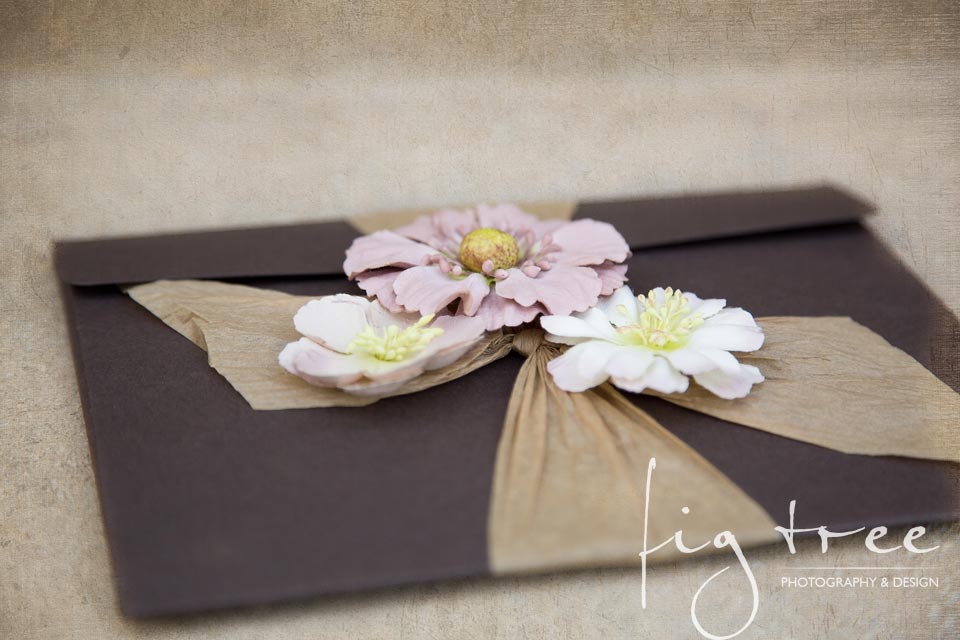 Gift_certificate_fig_tree_photography_4